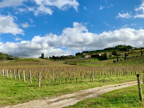 TRA TRINCEE E CASTELLI, POETI E PITTORI