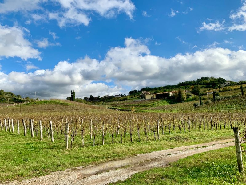 TRA TRINCEE E CASTELLI, POETI E PITTORI