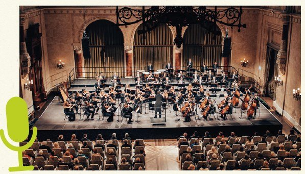 PALCHI NEI PARCHI - FVG ORCHESTRA