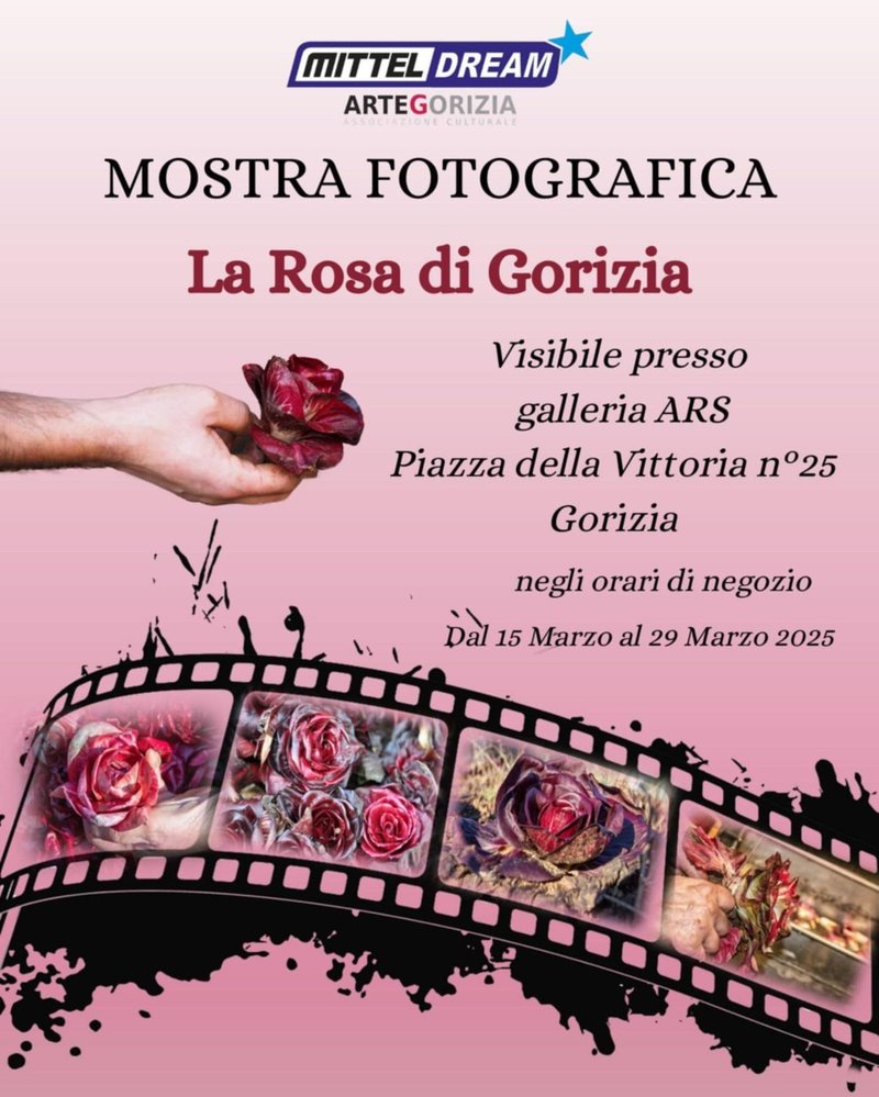 rosa
